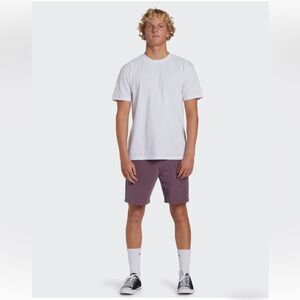 Billabong Shorts Mens 40 Purple Submersibles New Order Sz 36
